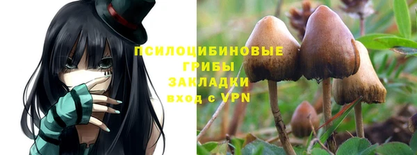 не бодяженный Абинск