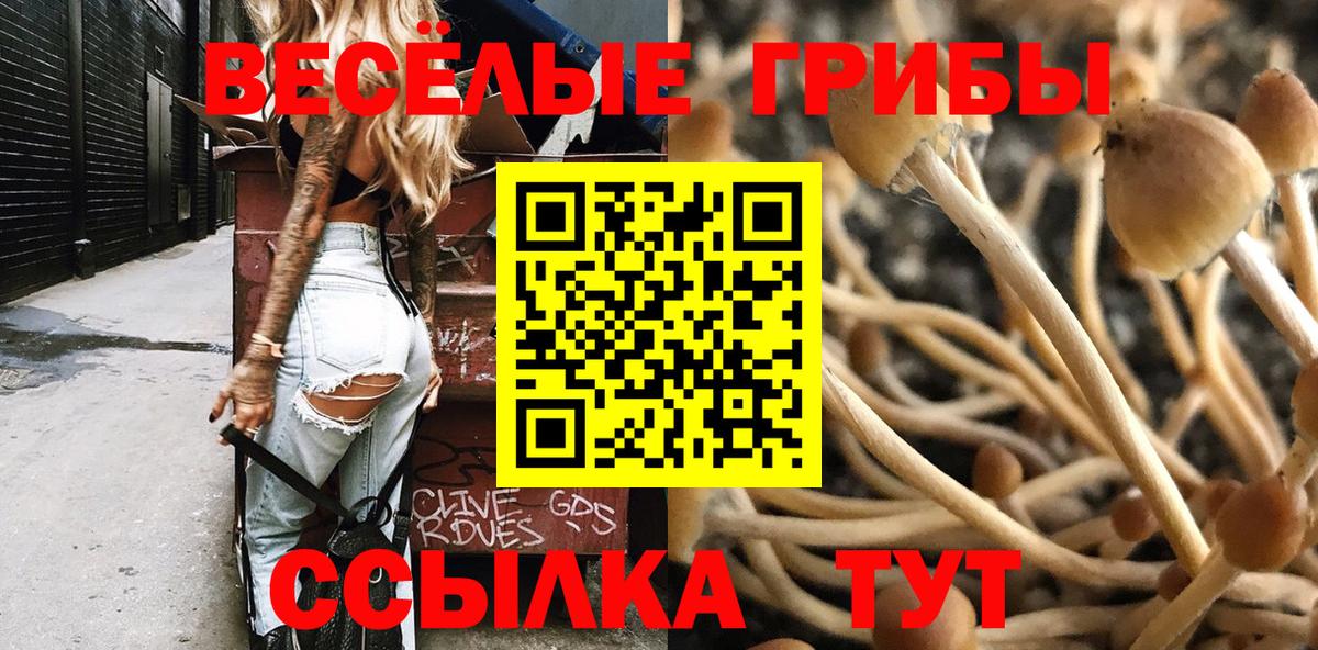 Балаково  Галлюциногенные грибы Psilocybe  Вход с VPN 
