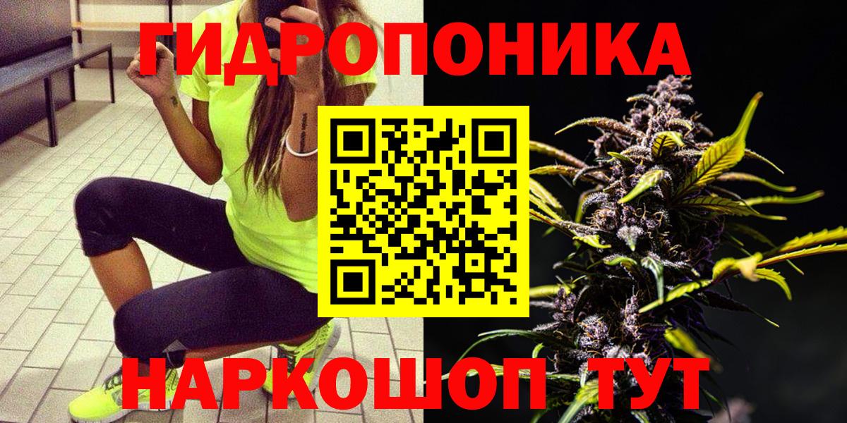 Бошки марихуана конопля Балаково